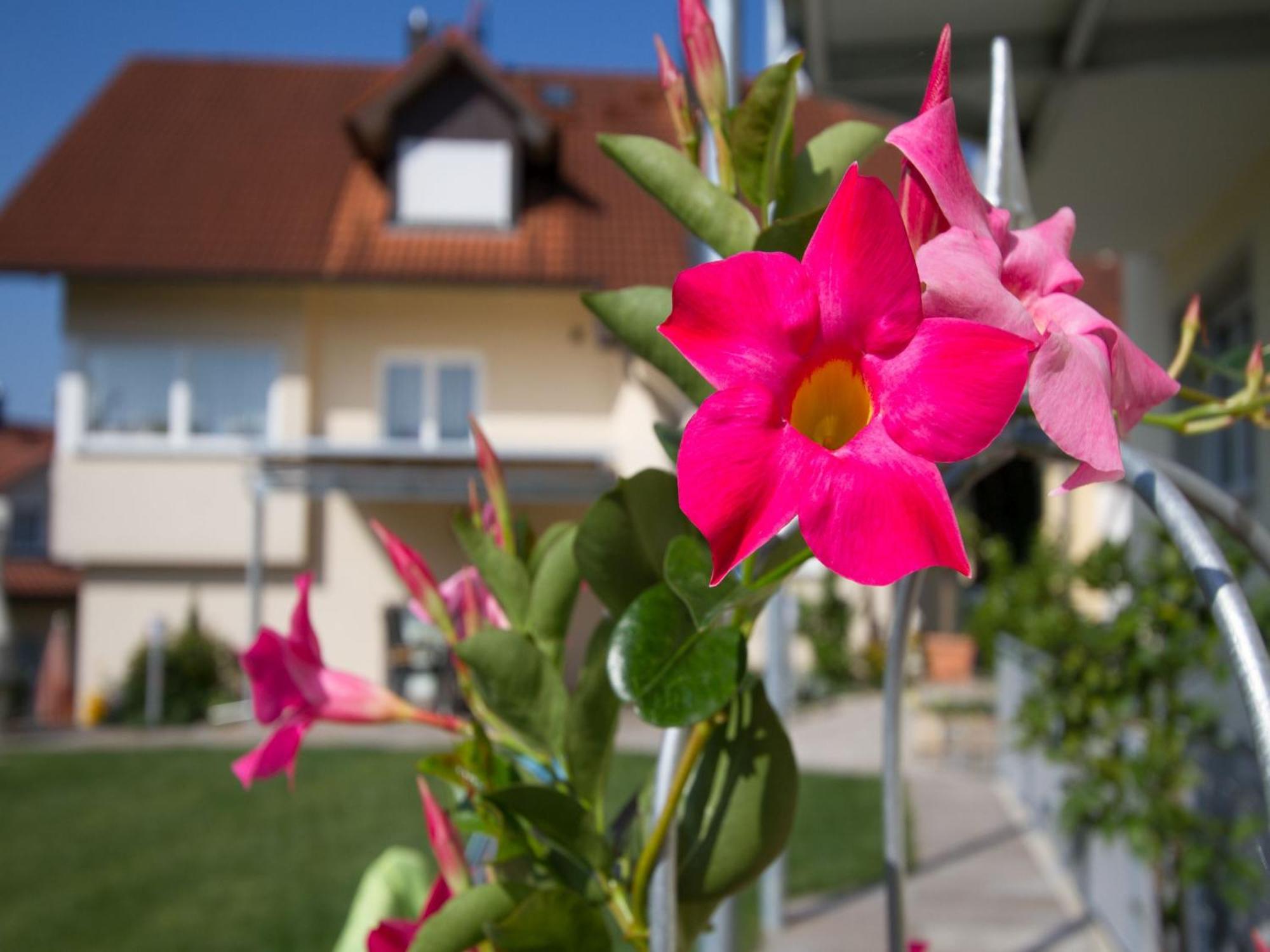 Obst- Und Ferienhof Witzigmann Wasserburg Exteriör bild
